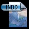 InDesign Document - INDD (globe)